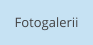 Fotogalerii